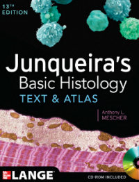 Image of Basic Histology : Text And Atlas Edisi 13