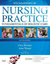 Image of Foundations Of Nursing Practice : Fundamentals Of Holistic Care
