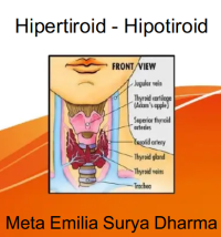 Image of Panduan Hipertiroid dan Hipotiroid