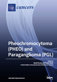 Image of Pheochromocytoma (PHEO) and Paraganglioma (PGL)
