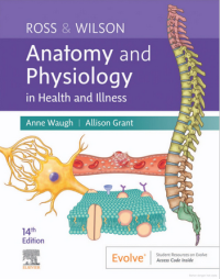 Image of Ross & Wilson Anatomy And Physiology : In Health And Illness