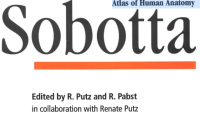 Image of Sobotta : Atlas of Human Anatomy Jilid I